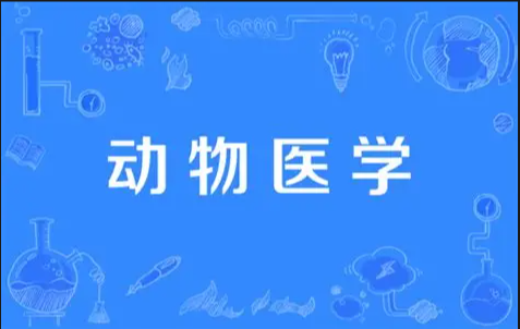 动物医学